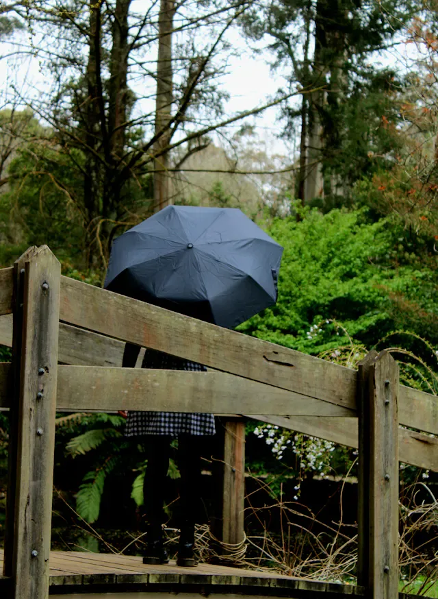 Festive Folding Umbrella