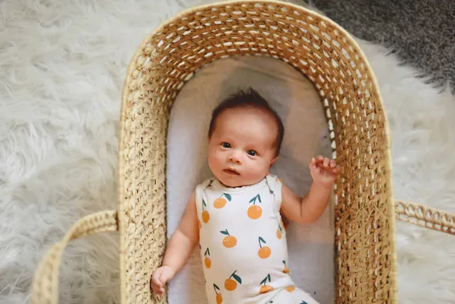 Modern Newborn Set