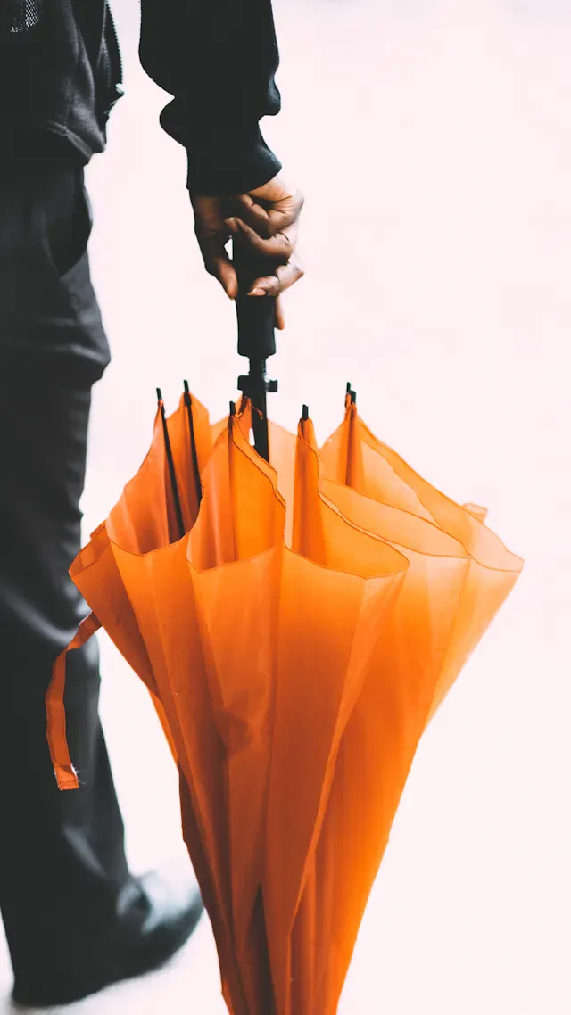 Breezy Automatic Umbrella