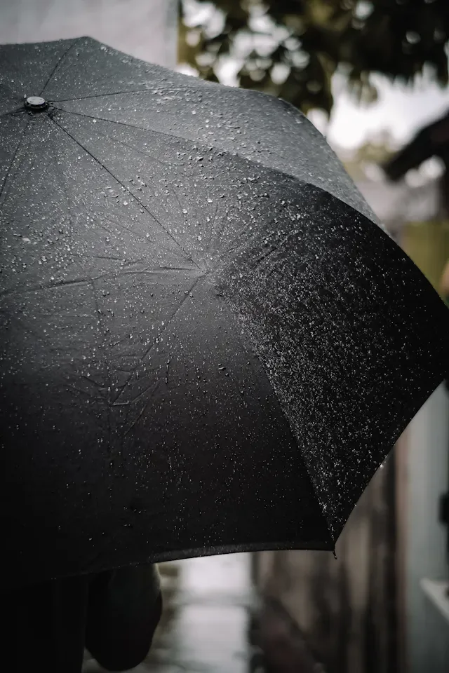 Smart Folding Umbrella