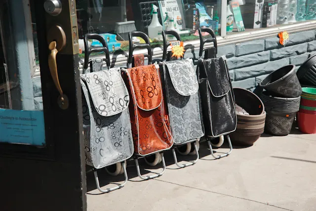 Urban Reusable Shopping Bag
