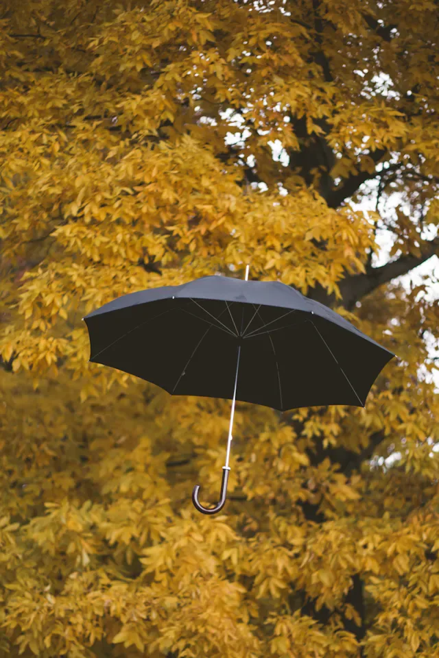 Essential Long-Handle Umbrella