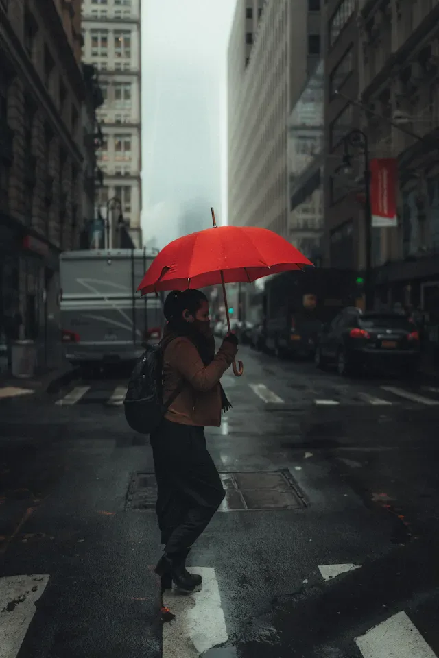 Rosewood Compact Travel Umbrella